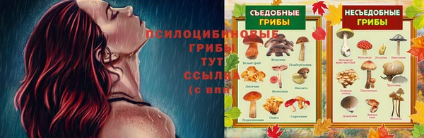 бутират Горнозаводск