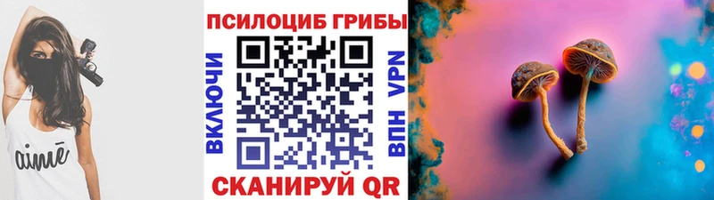 MEGA вход  Дигора  Галлюциногенные грибы Psilocybe 